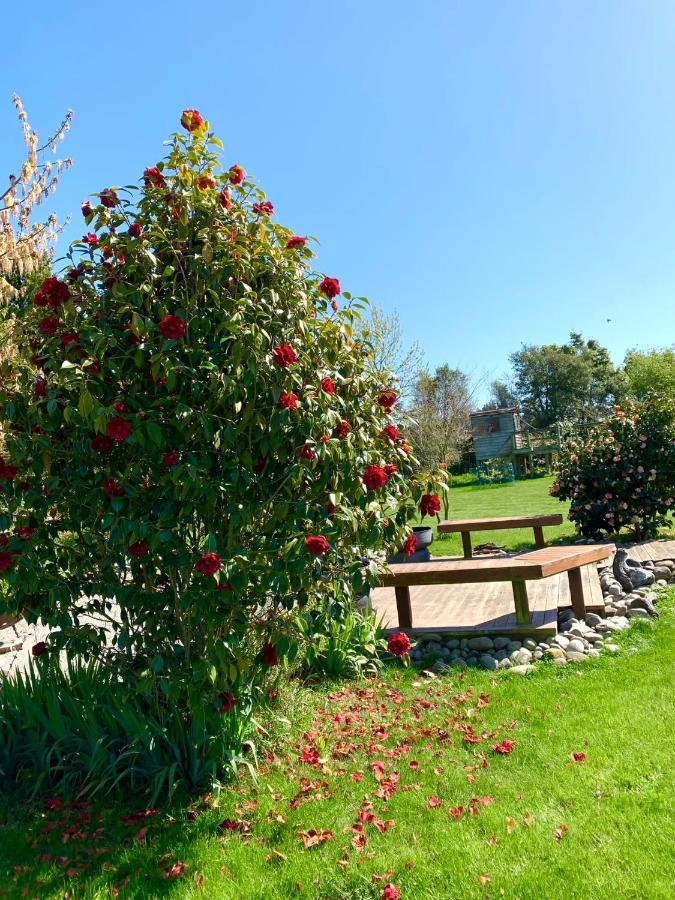 Newlands Bed And Breakfast West Melton Dış mekan fotoğraf